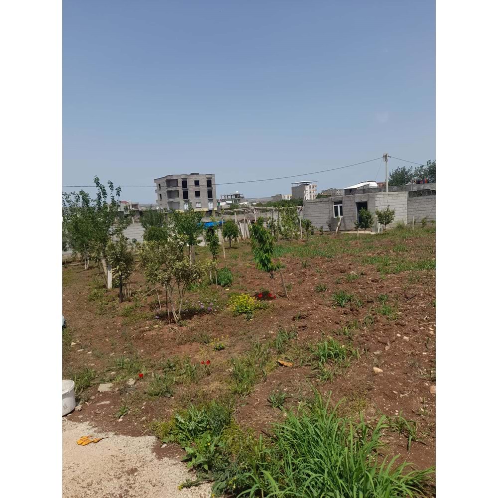 KOPERATİF MAH. ÇETİN ALENGE DÜĞÜN SALONU KARŞISI SATILIK ARSA