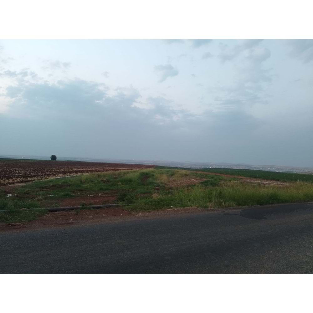 TÜRKMENHACI YOLU AYKAL PAMUK FAB. KARŞISI YOLA SIFIR ARSA