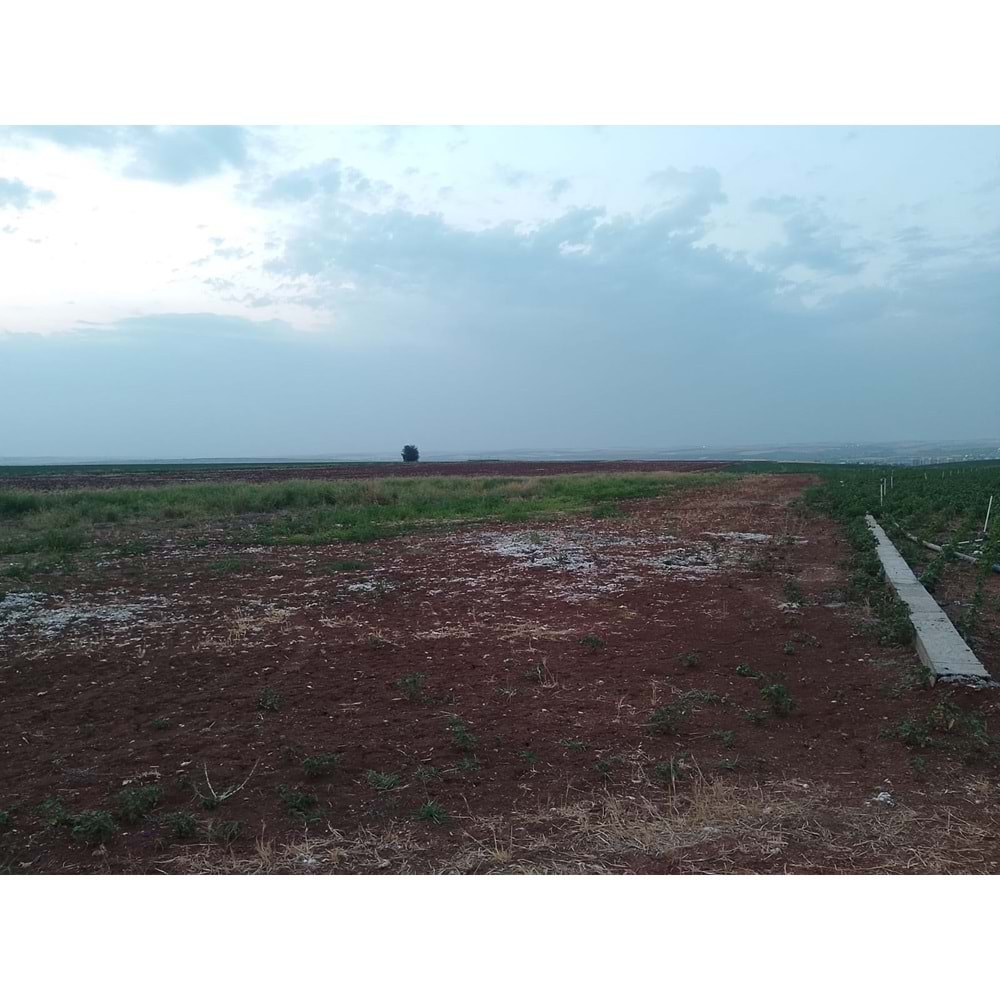 TÜRKMENHACI YOLU AYKAL PAMUK FAB. KARŞISI YOLA SIFIR ARSA