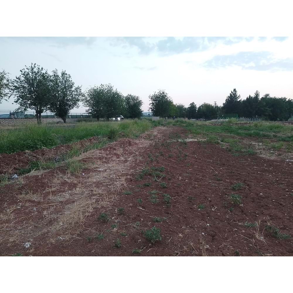 TÜRKMENHACI YOLU AYKAL PAMUK FAB. KARŞISI YOLA SIFIR ARSA