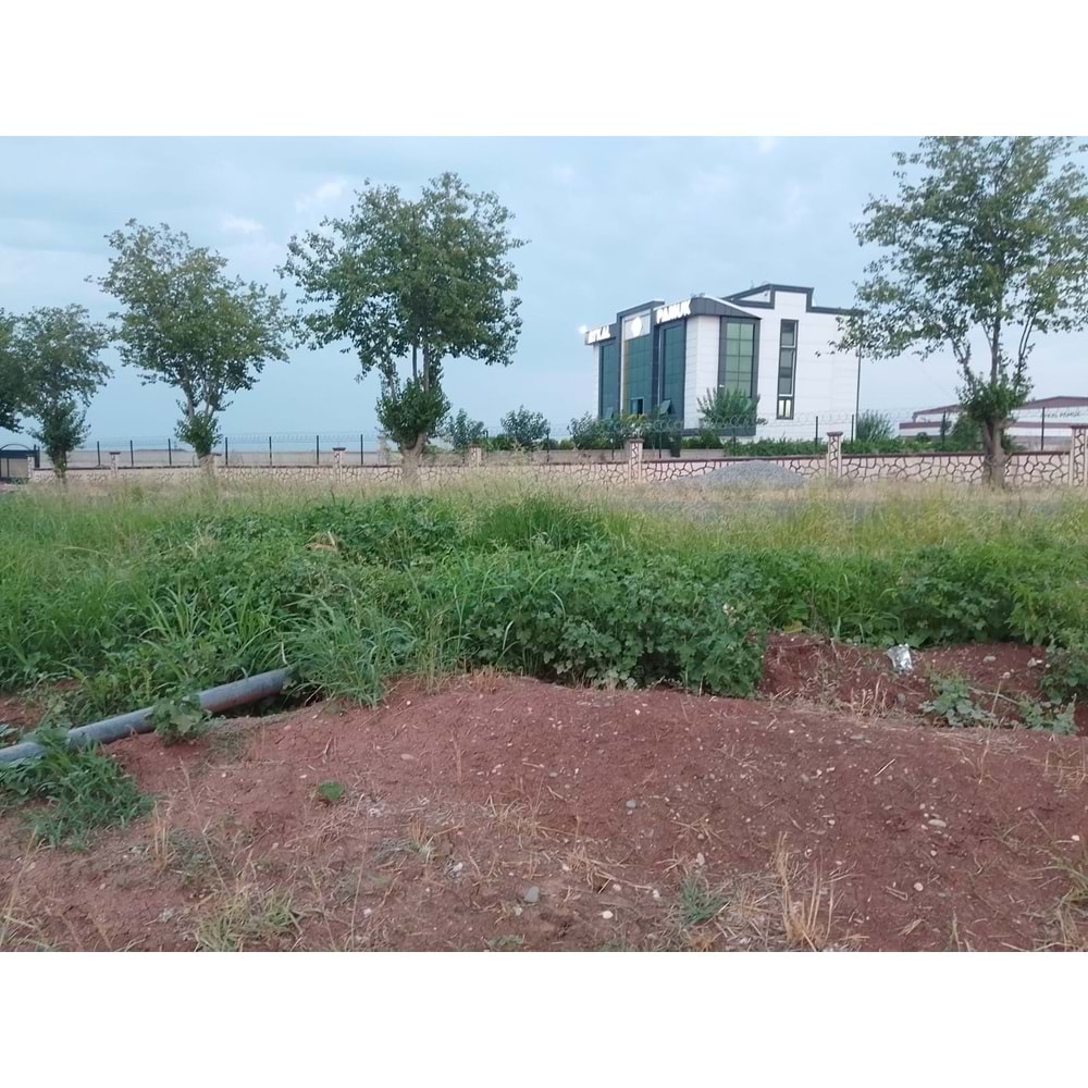 TÜRKMENHACI YOLU AYKAL PAMUK FAB. KARŞISI YOLA SIFIR ARSA