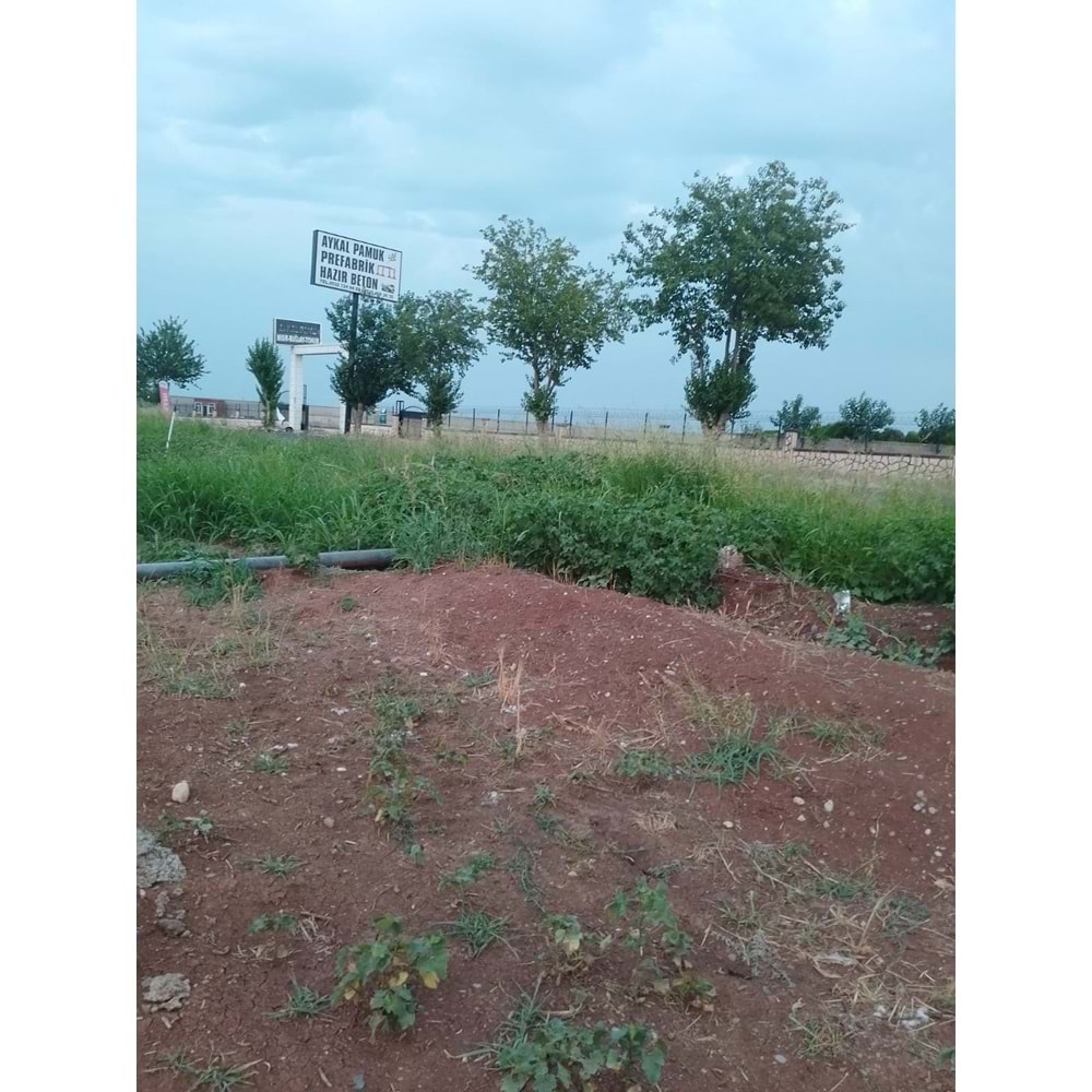 TÜRKMENHACI YOLU AYKAL PAMUK FAB. KARŞISI YOLA SIFIR ARSA