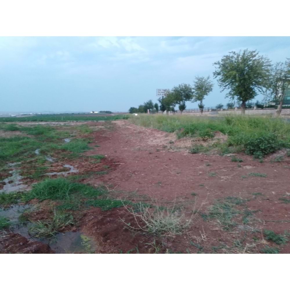 TÜRKMENHACI YOLU AYKAL PAMUK FAB. KARŞISI YOLA SIFIR ARSA