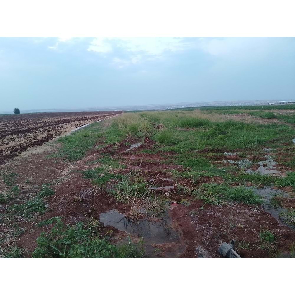 TÜRKMENHACI YOLU AYKAL PAMUK FAB. KARŞISI YOLA SIFIR ARSA