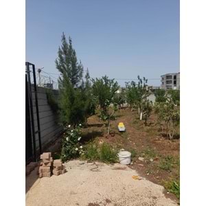 KOPERATİF MAH. ÇETİN ALENGE DÜĞÜN SALONU KARŞISI SATILIK ARSA