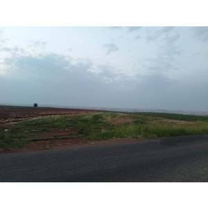 TÜRKMENHACI YOLU AYKAL PAMUK FAB. KARŞISI YOLA SIFIR ARSA