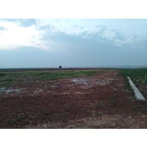 TÜRKMENHACI YOLU AYKAL PAMUK FAB. KARŞISI YOLA SIFIR ARSA