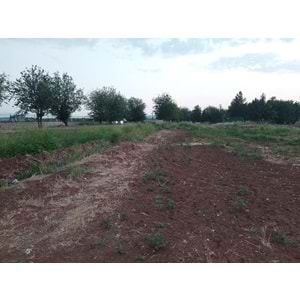 TÜRKMENHACI YOLU AYKAL PAMUK FAB. KARŞISI YOLA SIFIR ARSA