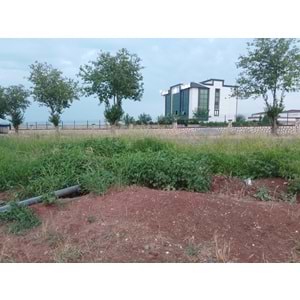 TÜRKMENHACI YOLU AYKAL PAMUK FAB. KARŞISI YOLA SIFIR ARSA