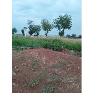 TÜRKMENHACI YOLU AYKAL PAMUK FAB. KARŞISI YOLA SIFIR ARSA