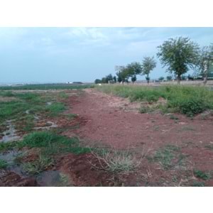 TÜRKMENHACI YOLU AYKAL PAMUK FAB. KARŞISI YOLA SIFIR ARSA