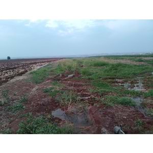 TÜRKMENHACI YOLU AYKAL PAMUK FAB. KARŞISI YOLA SIFIR ARSA