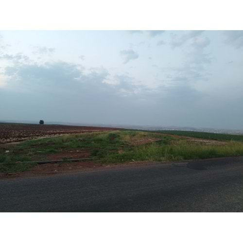 TÜRKMENHACI YOLU AYKAL PAMUK FAB. KARŞISI YOLA SIFIR ARSA